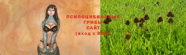 синтетический гашиш Алексин