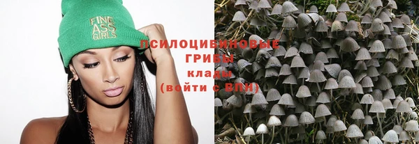 синтетический гашиш Алексин